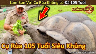 Nhím Cute Review quá trình kết bạn với Cụ Rùa 105 Tuổi Cực Thú Vị || Review Giải Trí Đời Sống