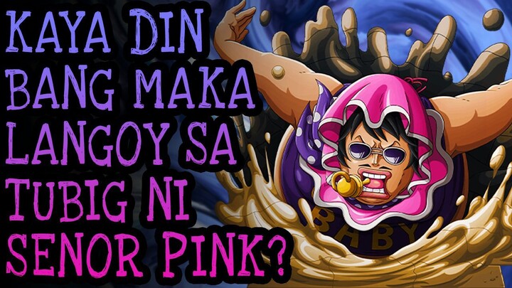 SWIM SWIM FRUIT Explained In Tagalog! | One Piece