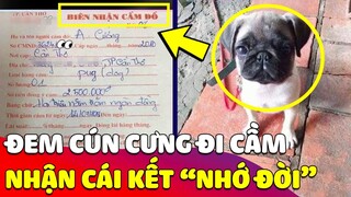 Con sen mang chó cưng của mình đi 'CẦM' nhưng không chịu chuộc và 'CÁI KẾT' 😅 Gâu Đần