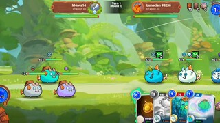 sandals vs koi