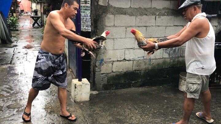 Rainy day spar