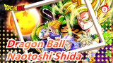 Dragon Ball| [MAD]Naotoshi Shida（1996-2018）_2
