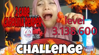 MAKAN 2 CABE CAROLINA REAPER INDONESIA |CABE TORAJA (katokkon)CHALLENGE | CABE TERPEDAS DI INDONESIA