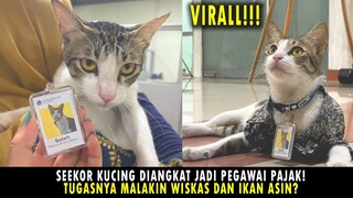 Pororo Kalah Tajir Sama Soleh, Si Kucing Pegawai Pajak! Gajinya Bikin Ngiler😂