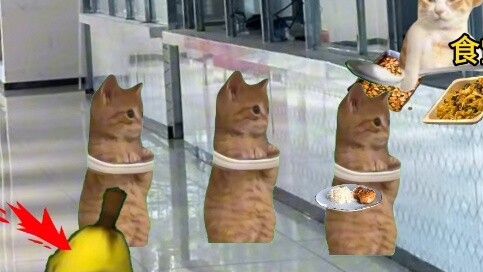 The year of pure hunger