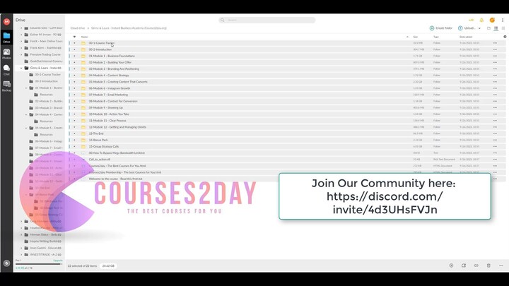 Ginny AND Laura - Instant Business Academy (Courses2day.org)