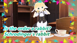 Is the order a rabbit?|Schrodinger's rabbit