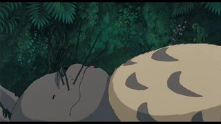 My Neighbour totoro explain in hindi ||Japanese anime in hindi