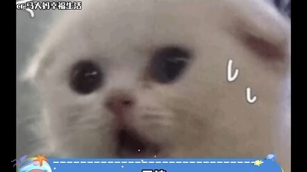 "农村老太怒摔亲孙子 真的看得我身心一震