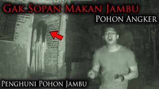 🔴 1156- BANG HERI MAKAN JAMBU AIR ! TAK TERIMA PENGHUNI POHON JAMBU M4R4H