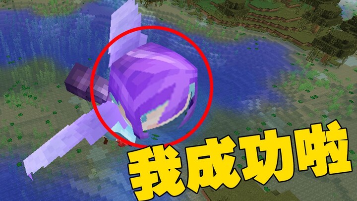 【完结】最后的目标，鞘翅飞行100000格后的世界！-【时空小涵我的世界 第一季 第31集】