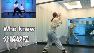 【AA】分解教程|Who Knew 慢速跟动作+0.8倍跟动作+镜面原速