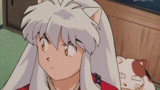 [InuYasha] Gouzi: Đi ngay thôi! Mẹ chồng: Tối nay chúng ta ăn bít tết nhé Gouzi: Ngon quá