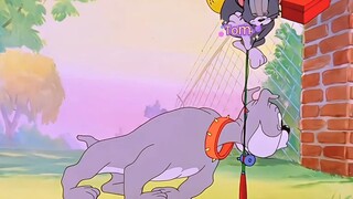 Tom and jerry