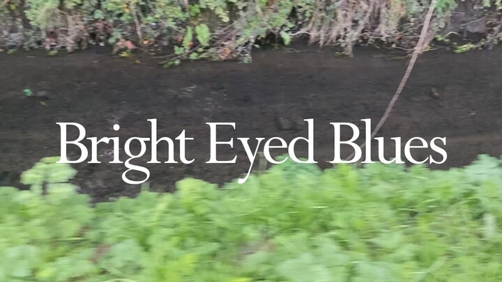 Bright Eyed Blues