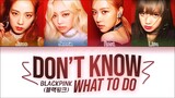 BLACKPINK - 'DON'T KNOW WHAT TO DO' LYRICS COLOR CODED VIDEO