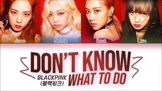 BLACKPINK - 'DON'T KNOW WHAT TO DO' LYRICS COLOR CODED VIDEO