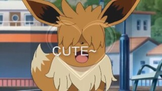 KHi Cún nhà dạo chơi thành phố =))||| pokemon CUTE