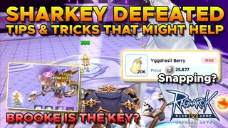 HOW DID I KILL SHARKEY (PALACE OF BEAUTY BOSS) - RAGNAROK MOBILE