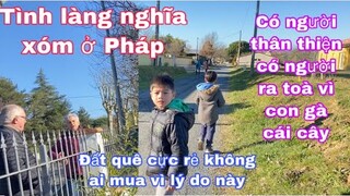 Tình làng nghĩa xóm ở Pháp/ra toà chỉ vì con gà, cái cây/Cuộc sống pháp/lấy chồng Tây/cathy gerardo