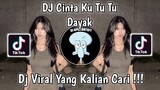 DJ CINTA KU TU TU DAYAK VIRAL TIK TOK TERBARU 2023 YANG KALIAN CARI !