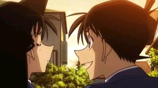 FOREVER TEAM SHINRAN 😭