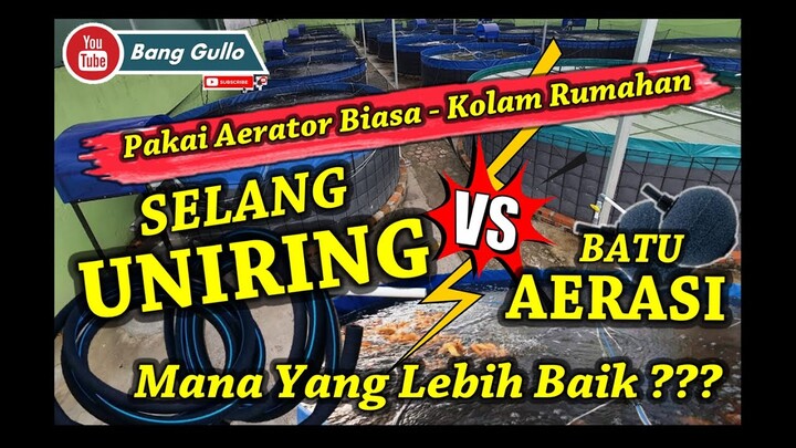Hasil Test Selang Uniring vs Batu Aerasi Di Kolam Ikan | Pakai Aearator Biasa | Mana Lebih Baik ?