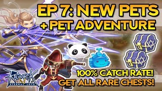 EP 7 NEW PETS & PET ADVENTURE MAPS: 100% CATCH RATE + GUIDE TO GET ALL RARE CHESTS!!