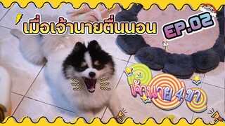 [ เจ้านาย 4 ขา ] เมื่อเจ้านายพึ่งตื่นนอน ห๊าวววว Ep.2