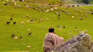 kashmir beautiful scenery kashmir beautiful places whatsapp status..