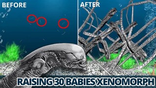 30 BABIES XENOMORPH FROM BABY TO ADULT. Feeding 30 Xenomorph [Part 2] AquaLife 3D