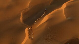 BBC Earth - Africa E05-Sahara