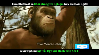 review phim Sự Trỗi Dậy Của Hành Tinh Khỉ 1 #reviewfilm