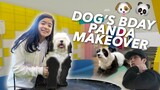 DOG'S BIRTHDAY PANDA MAKEOVER | Ranz and Niana