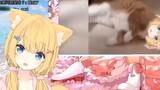 [VTuber] Hanazono Serena: Bé mèo bị kẻ xấu chọc cười