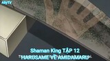 Shaman King TẬP 12-HARUSAME VỀ AMIDAMARU