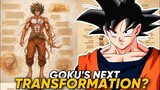 Goku’s Anatomy Explained | Goku Vs Beerus | Dragon Ball