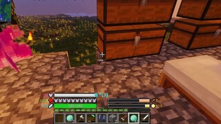 [Câu chuyện tu luyện sinh tử trong Minecraft] 35 tuổi, đang trong quá trình luyện Khí, một tên trộm 