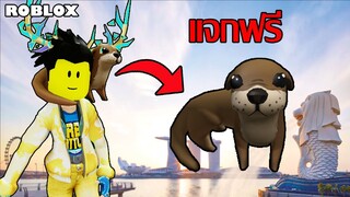 ไอเทมฟรี Roblox!! วิธีได้น้องนาก Otter Necklace จาก Singapore Wanderland