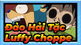 [Đảo Hải Tặc] Các cảnh cuộc sống thường ngày của Luffy&Chopper