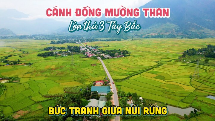 Tham quan Cánh Đồng Mường Than lớn thứ 3 Tây Bắc | DU LỊCH LAI CHÂU