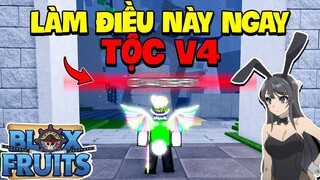 Roblox - Hãy Làm ĐIỀU NÀY Trước Khi Lấy TỘC V4 Blox Fruit | Blox Fruits