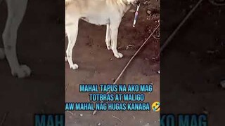 asong nag tototbras #dogviral #dog