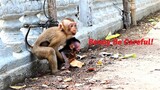 Mother Melona Rapidly to Rescue Baby Benny from Sister Juta, Juta Hugging Baby Benny to Go Away