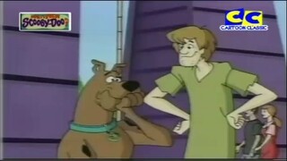 What's new scooby doo ตอน โรลเลอร์ โกสเตอร์