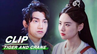 Fairy pretending to be Miao Miao | Tiger and Crane EP13 | 虎鹤妖师录 | iQIYI