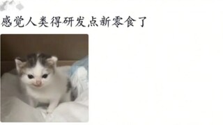 ตอนเด็กๆ ฉันคิดว่าผู้ใหญ่แค่แกล้งทำ แต่พอโตขึ้น ฉันก็รู้ว่าจริงๆ แล้วฉันไม่ชอบกินขนมเลย
