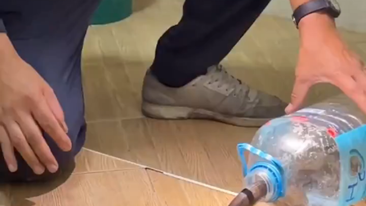 How to catch snakes with plastic bottles