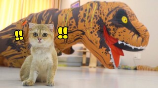 Mèo phản ứng thế nào khi thấy KHỦNG LONG | The Happy Pets #56