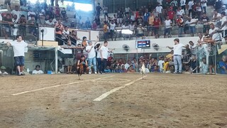 Texas cockpit arena Antipolo city.